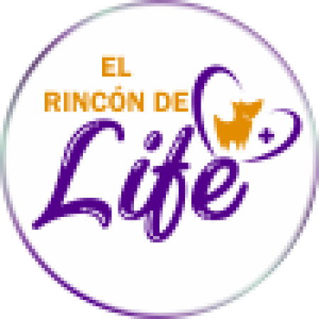 cropped-logo-rincondelife_cabecera.png